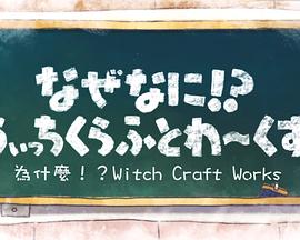 魔女的使命SP封面图