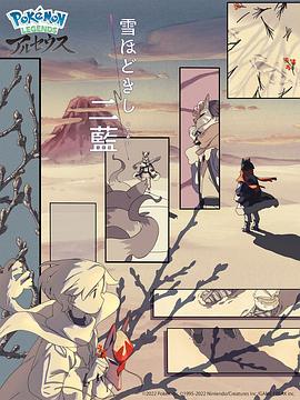 释雪二蓝封面图