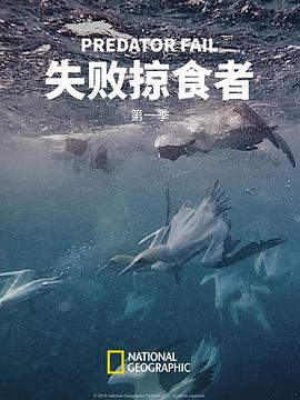 失败掠食者第一季封面图
