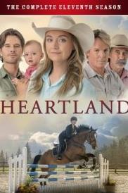 心灵之地第十一季封面图