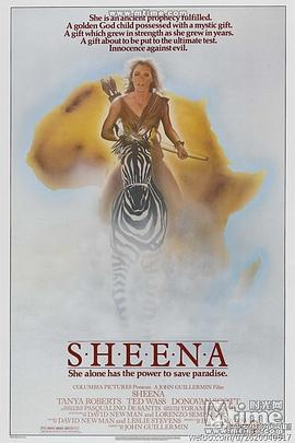 森林女王封面图