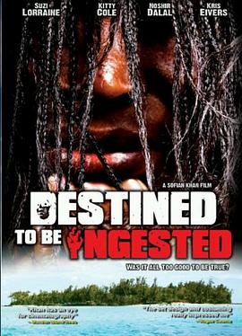 命中注定封面图