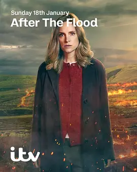 洪水之后第二季封面图