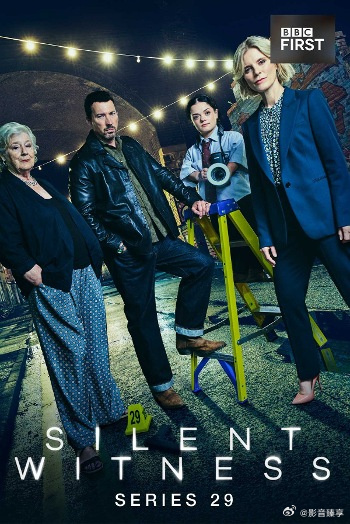 无声的证言第二十九季封面图