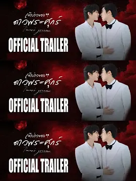 维纳斯的新郎封面图