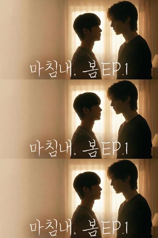 迟来的春天封面图