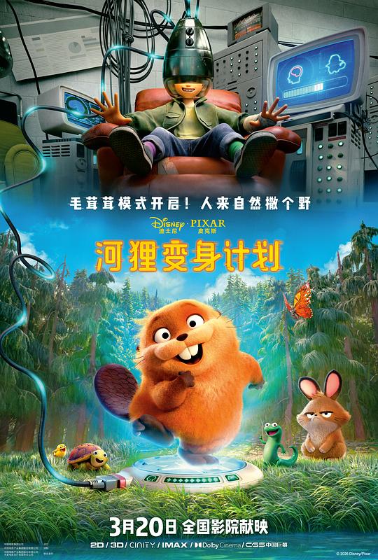 河狸变身计划封面图